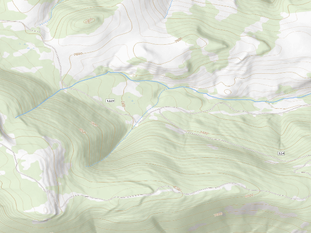 USGS topographic map of Forest Rd 324