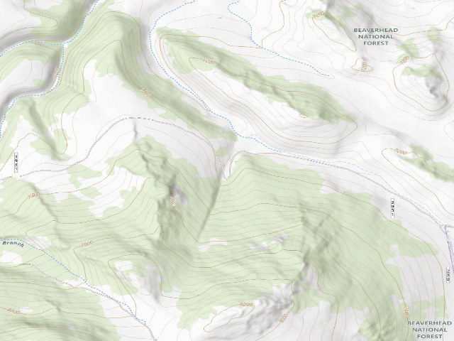 USGS topographic map of Forest Rd 3931