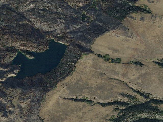 Aerial image of Forest Rd 3931