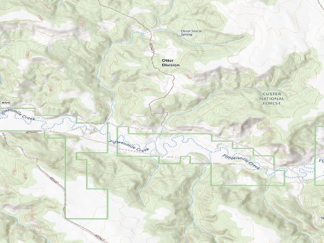 USGS topographic map of Forest Rd 409411A
