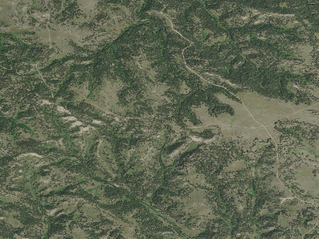 Aerial image of Forest Rd 4410C