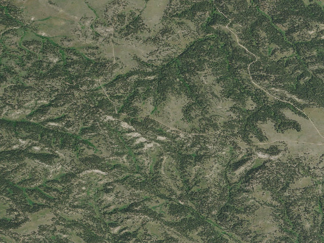 Aerial image of Forest Rd 4410D