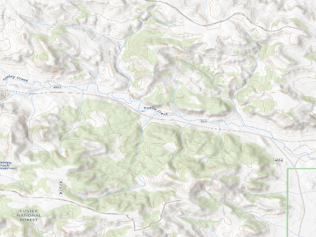 USGS topographic map of Forest Rd 4501