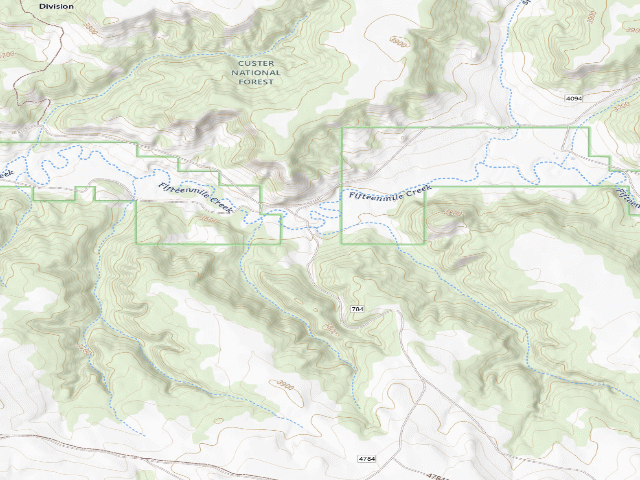 USGS topographic map of Forest Rd 4784C