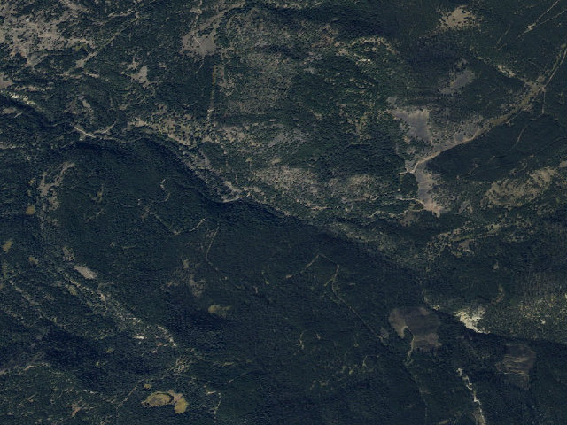 Aerial image of Forest Rd 479