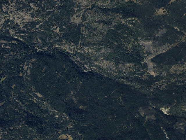 Aerial image of Forest Rd 479