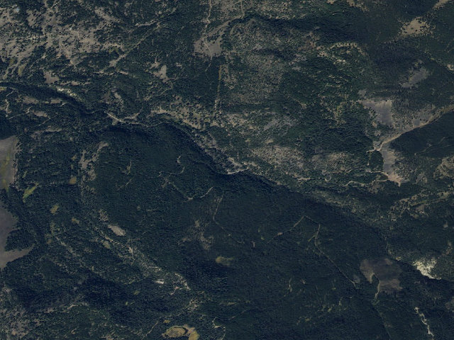 Aerial image of Forest Rd 479