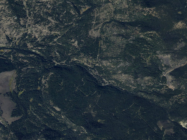 Aerial image of Forest Rd 479