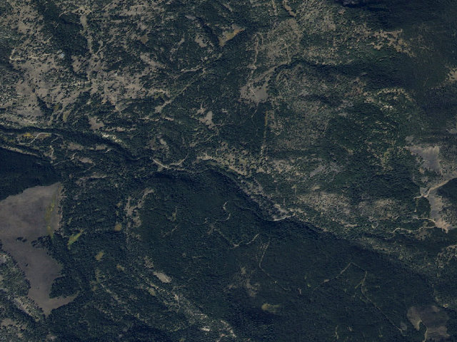 Aerial image of Forest Rd 479