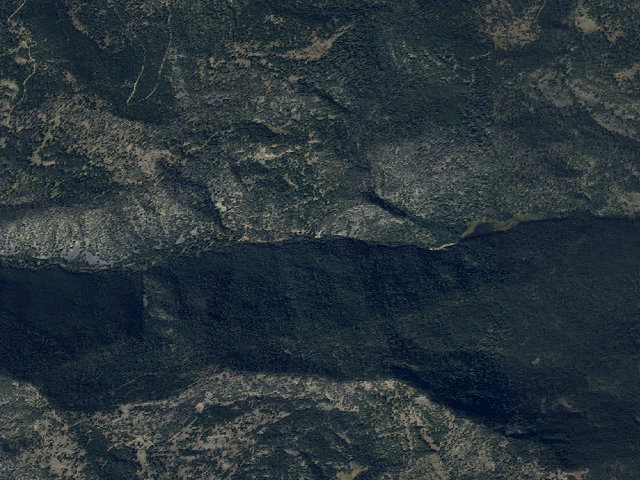 Aerial image of Forest Rd 481