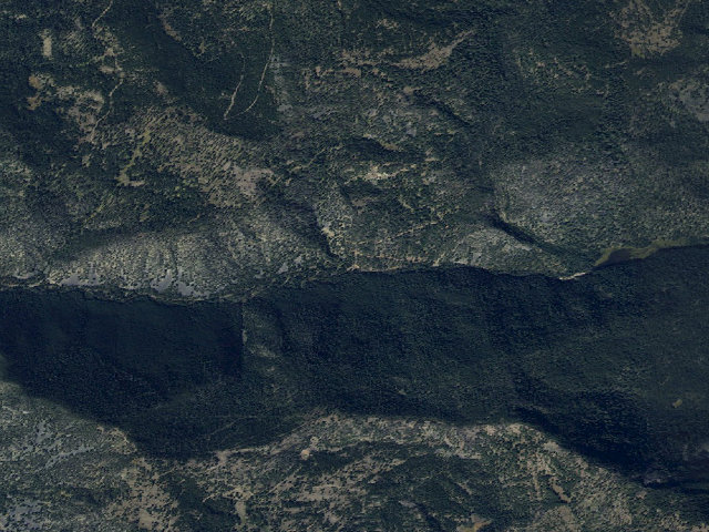 Aerial image of Forest Rd 481