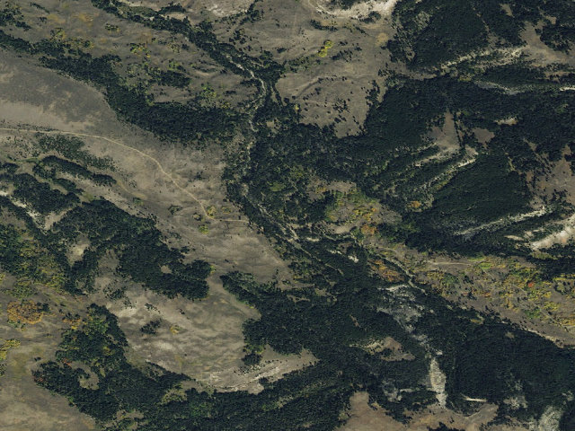 Aerial image of Forest Rd 61012F