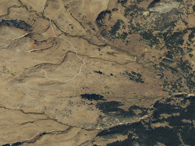 Aerial image of Forest Rd 6290J