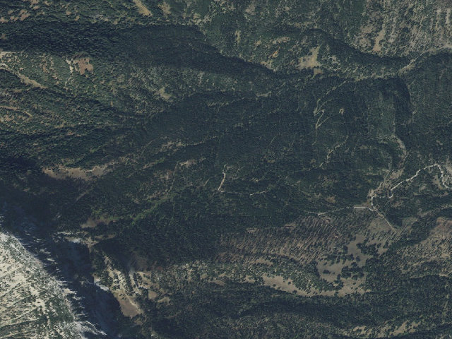 Aerial image of Forest Rd 631