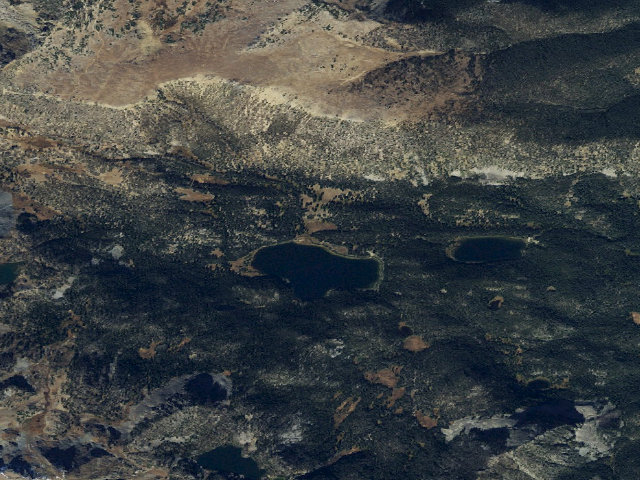 Aerial image of Forest Rd 6340