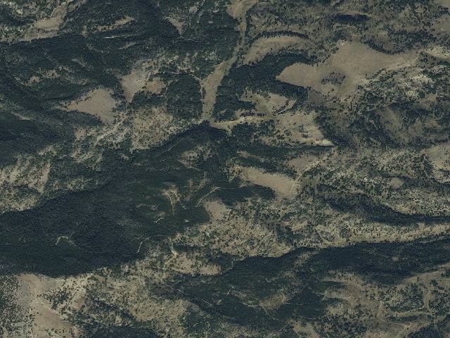 Aerial image of Forest Rd 6600