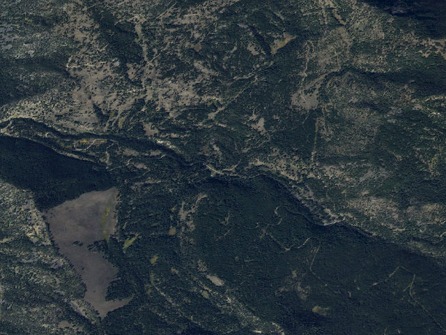 Aerial image of Forest Rd 6965