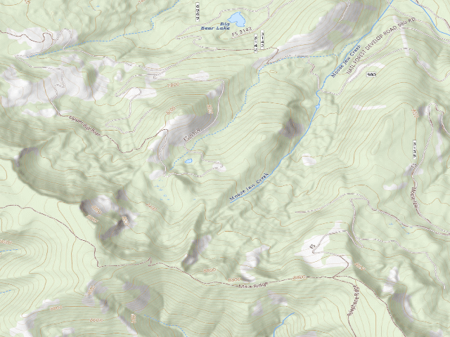USGS topographic map of Forest Rd 6969