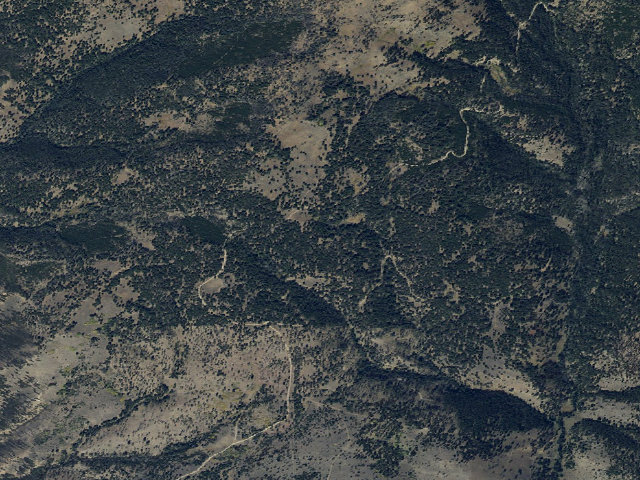 Aerial image of Forest Rd 700