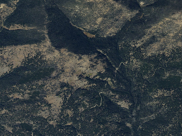 Aerial image of Forest Rd 700