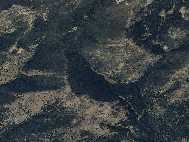 Aerial image of Forest Rd 700