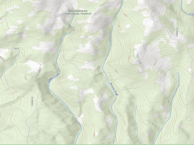 USGS topographic map of Forest Rd 7303