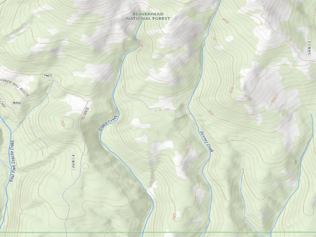 USGS topographic map of Forest Rd 7303
