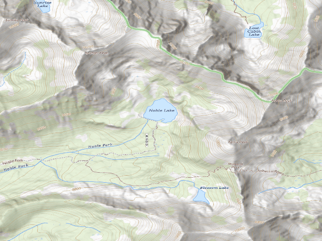 USGS topographic map of Forest Rd 8300