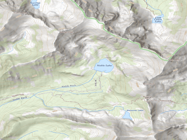 USGS topographic map of Forest Rd 8300