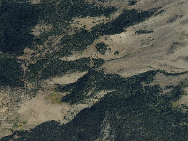 Aerial image of Forest Rd 833
