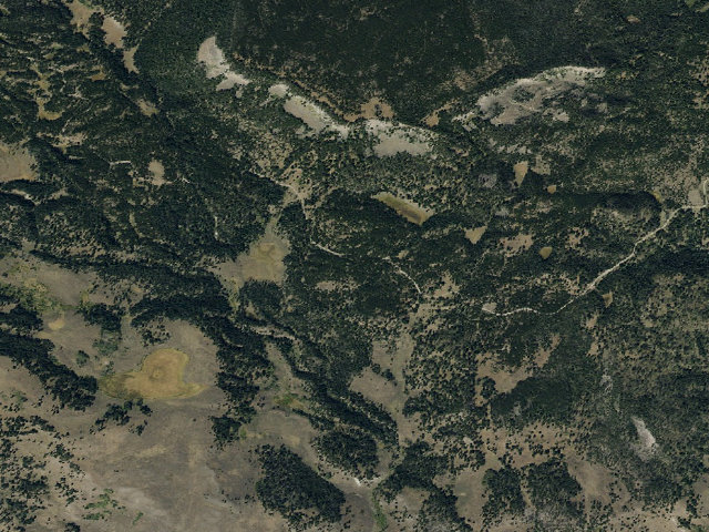Aerial image of Forest Rd 8373