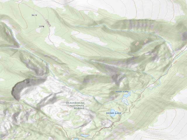 USGS topographic map of Forest Rd 8378