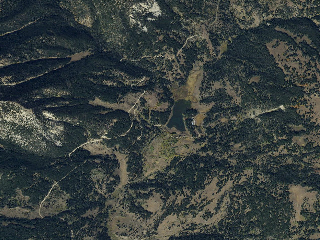 Aerial image of Forest Rd 8385