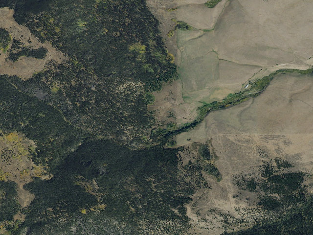 Aerial image of Forest Rd 933