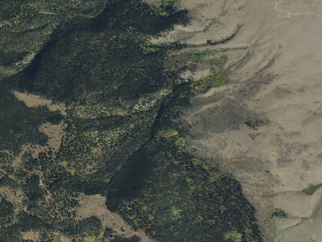 Aerial image of Forest Rd 933
