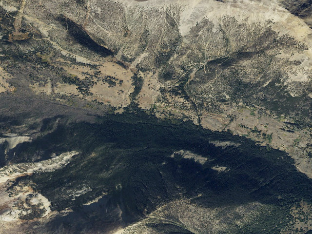 Aerial image of Forest Rd 9605