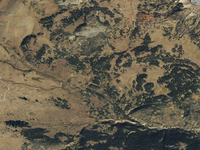 Aerial image of Forest Rd 9635