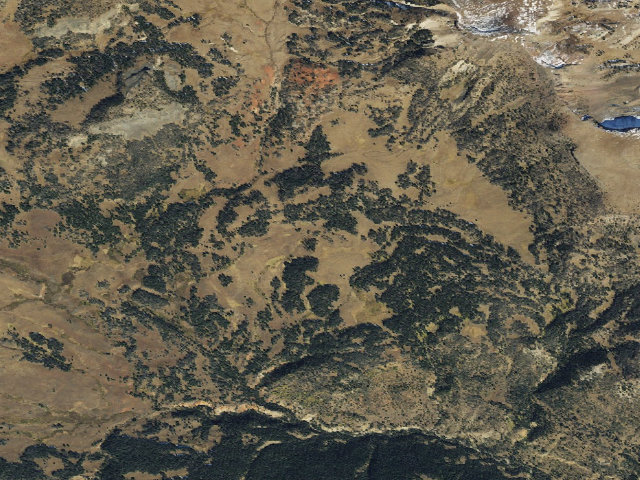 Aerial image of Forest Rd 9635