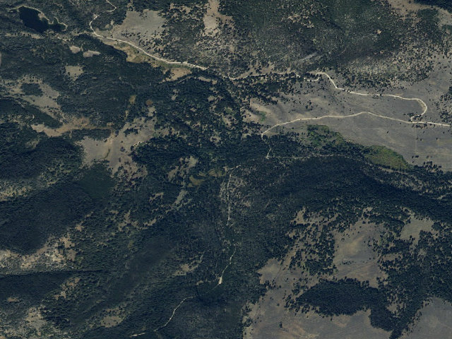 Aerial image of Forest Rd 965