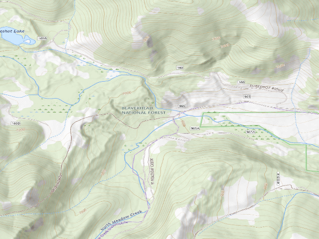 USGS topographic map of Forest Rd 965