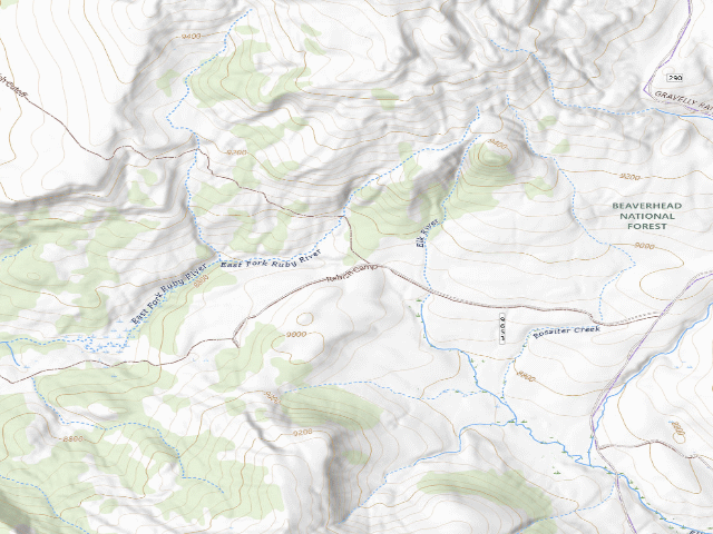 USGS topographic map of Forest Rd 9653