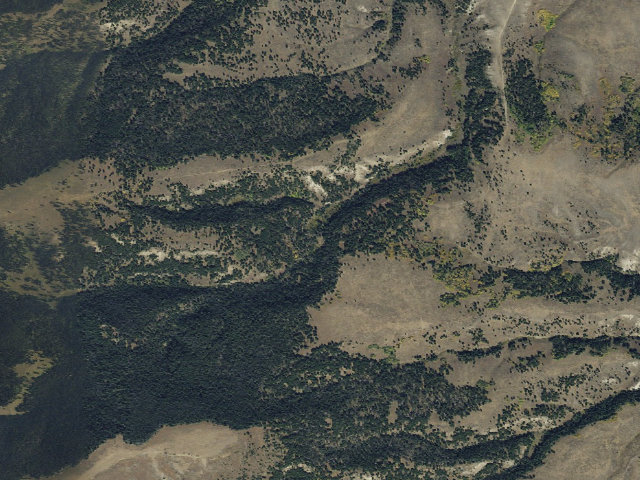 Aerial image of Forest Rd 9663