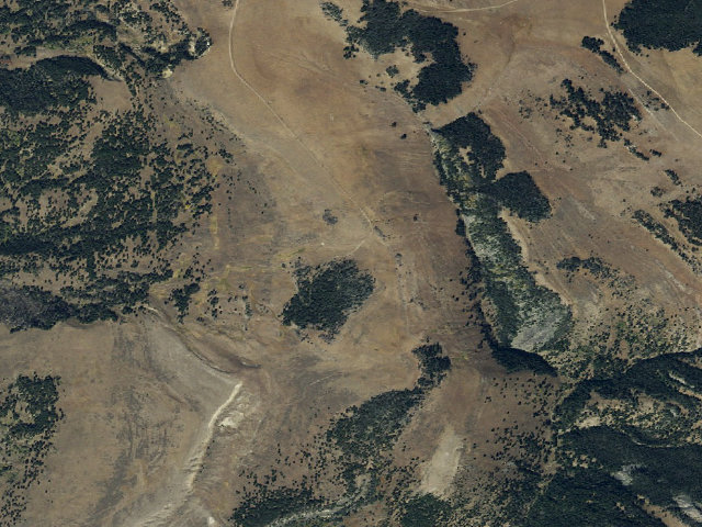 Aerial image of Forest Rd 9676