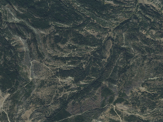 Aerial image of Forest Rd 974