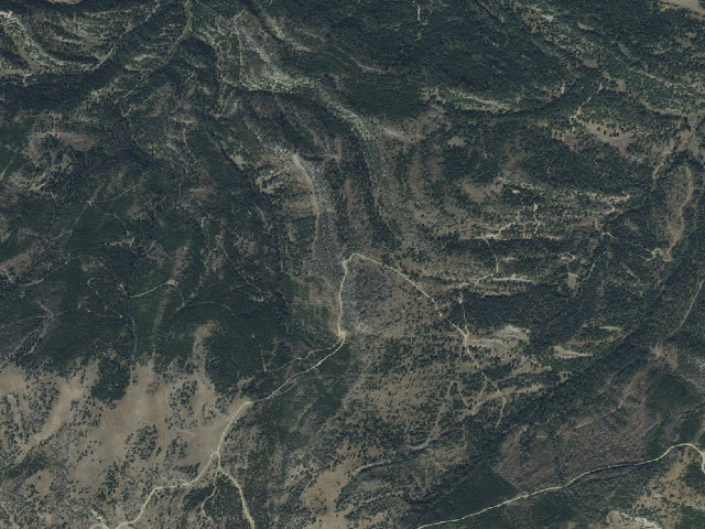 Aerial image of Forest Rd 974