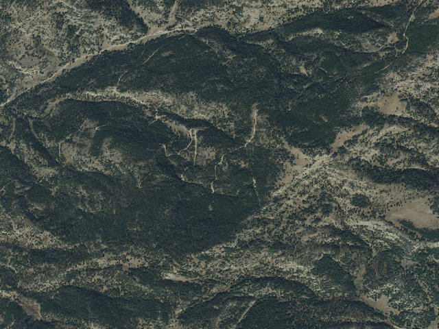 Aerial image of Forest Rd 977