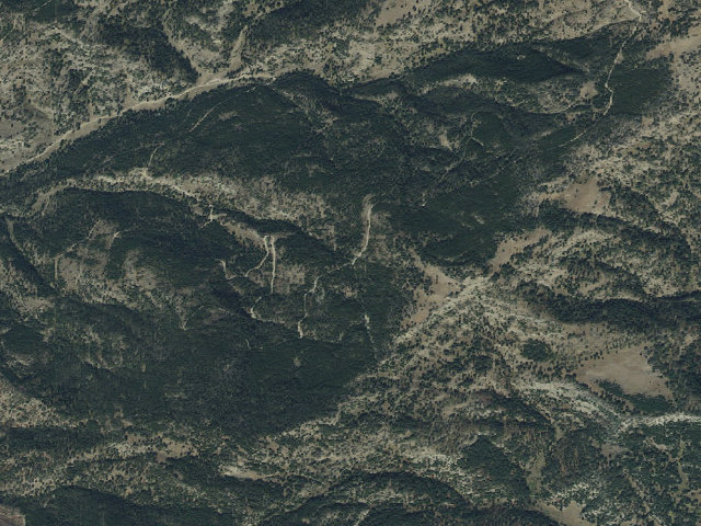 Aerial image of Forest Rd 977