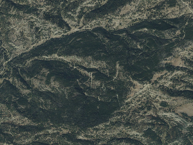 Aerial image of Forest Rd 977