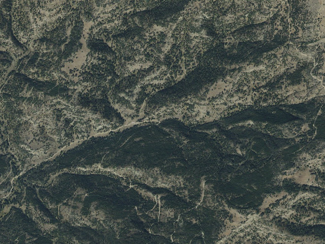 Aerial image of Forest Rd 977