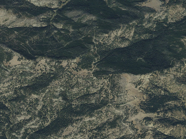Aerial image of Forest Rd 977
